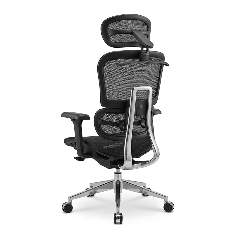ERGO PRO 04 IMG.png