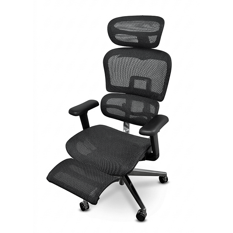 ERGO PRO 01 IMG.png